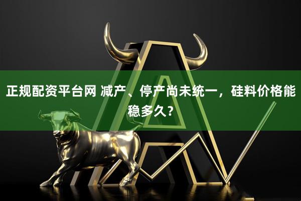 正规配资平台网 减产、停产尚未统一，硅料价格能稳多久？